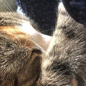 Meet your Posher, Amya